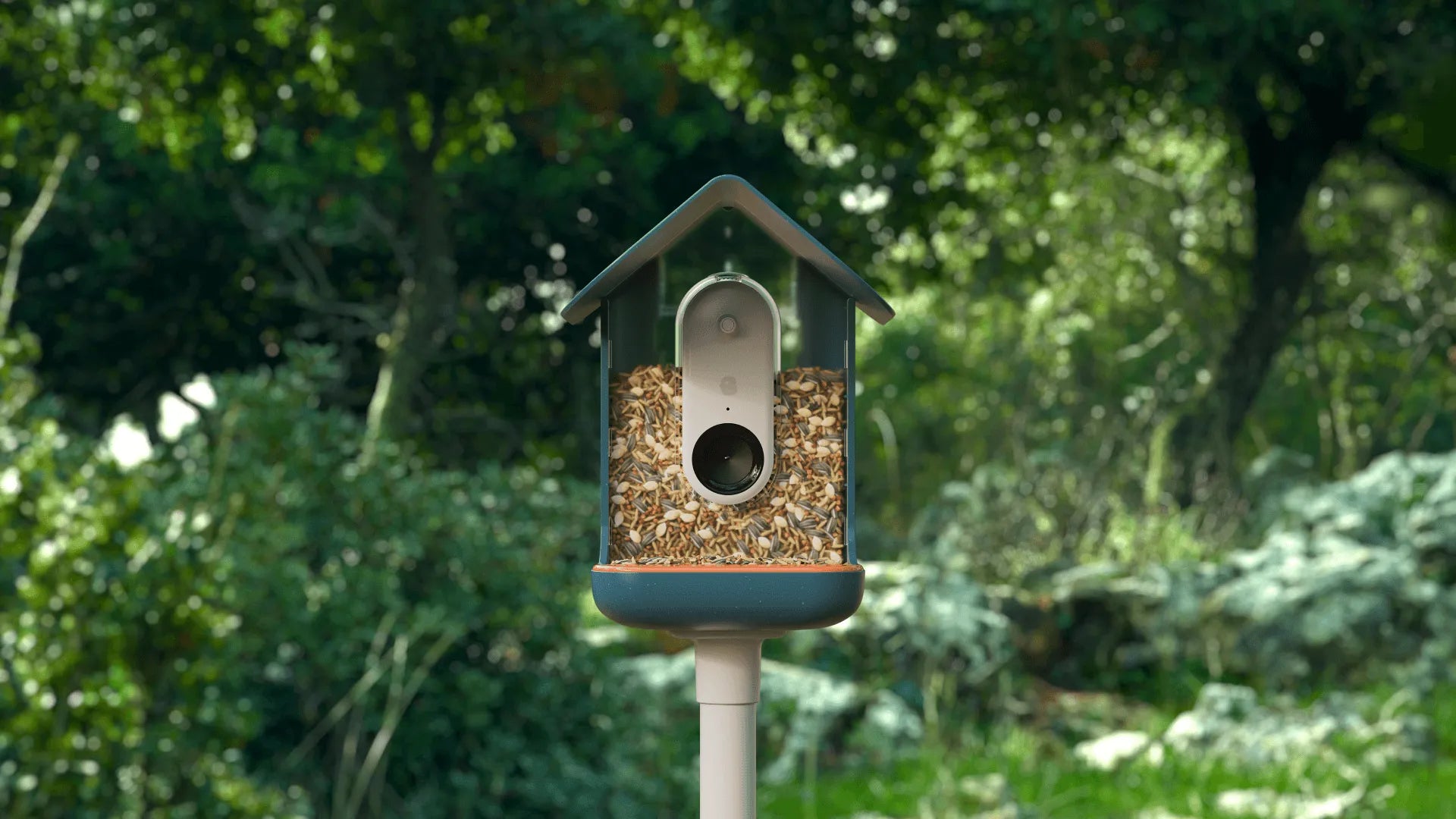 Blue smart bird feeder