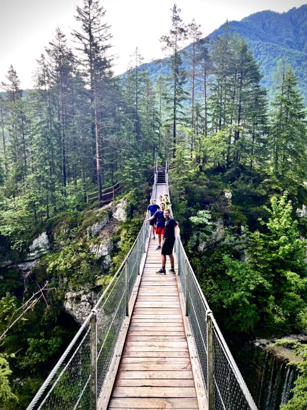 Bird Buddy employees