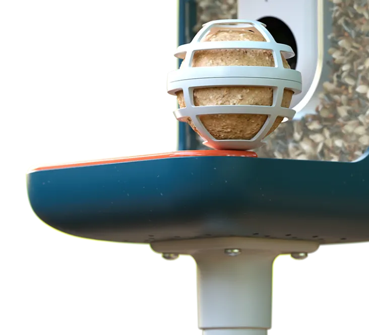 suet ball holder