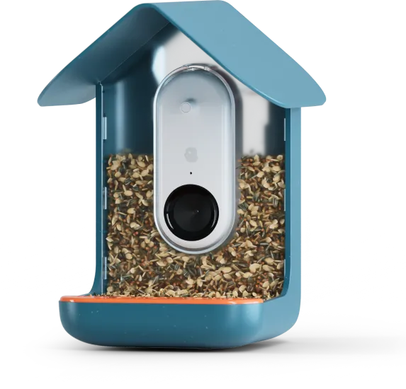 Blue Smart Bird Feeder