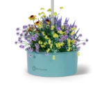 Pollinator Pot
