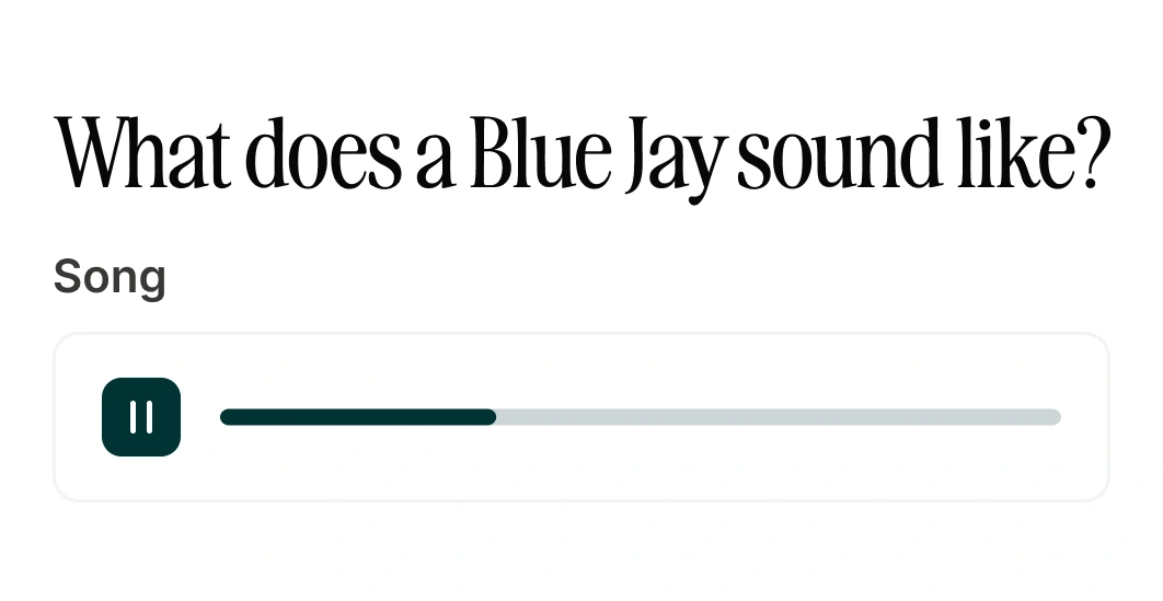 Learn Their Language